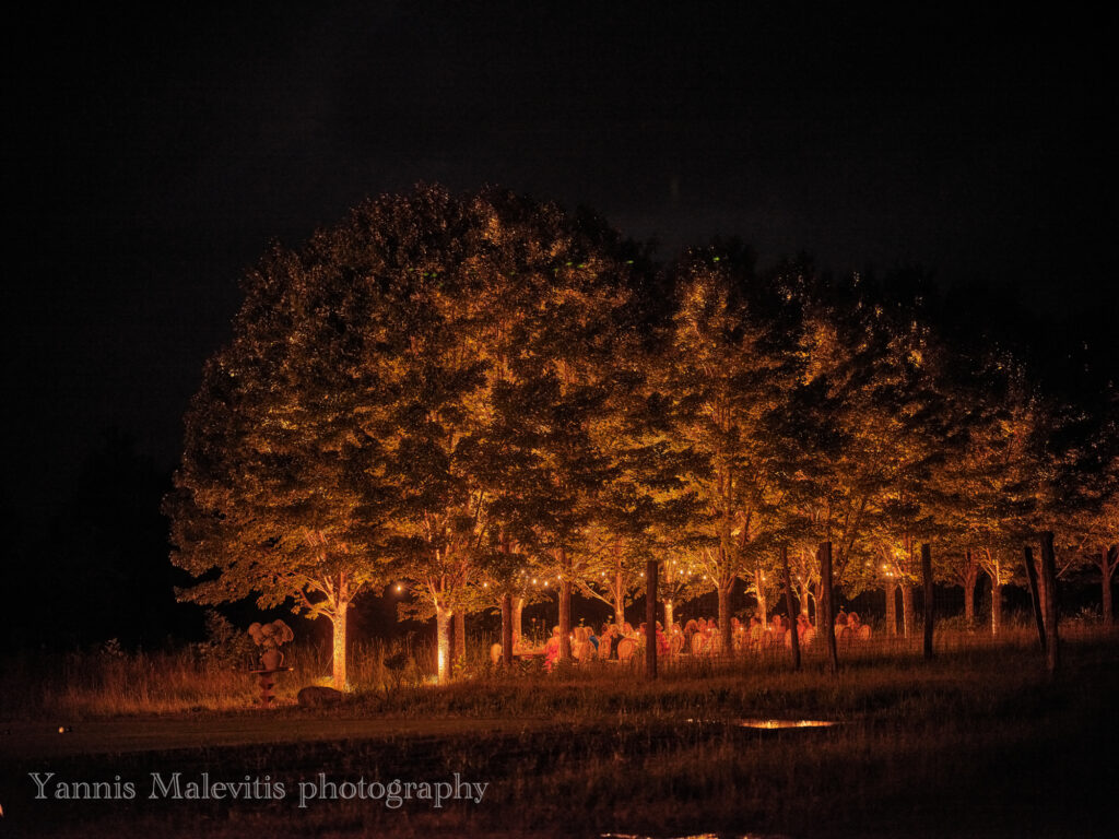 NBC event at the Wildflower Farms