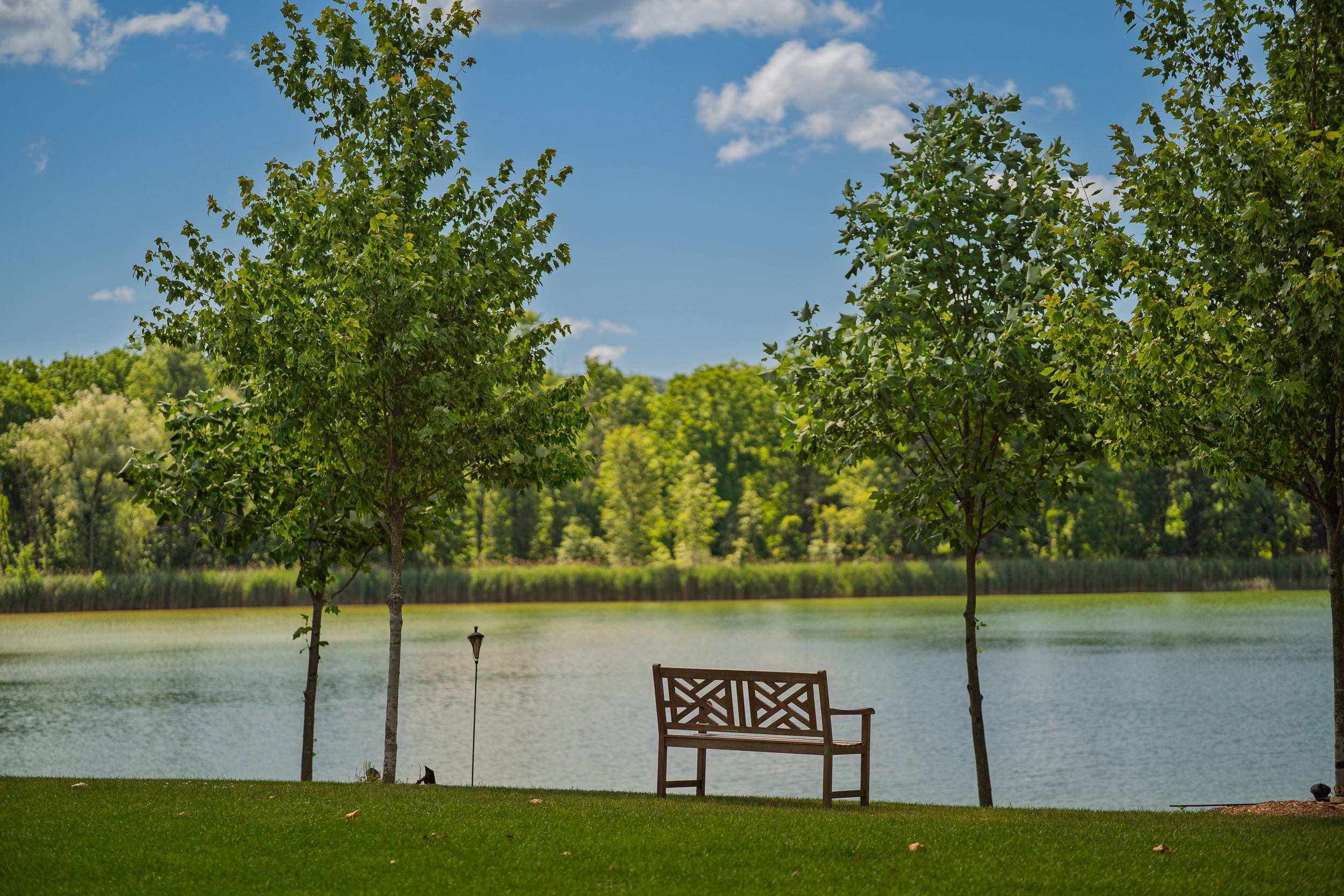 Bench overlooking the lake at Mashomack in Pine Plains, New York
